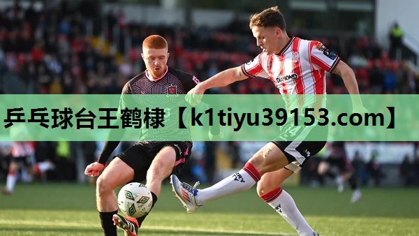 乒乓球台王鹤棣